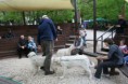 /album/budakeszi-vadaspark-a-fold-vilagnapja-alkalmabol-torteno-meghivasa-a-nagyragadozok-es-pasztorkutyak-forumnak-2014-aprilis-fotok-izabella-tandecki-/img-085-jpg/
